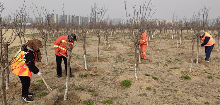 d1295e13dae418243273d53502fa36fb