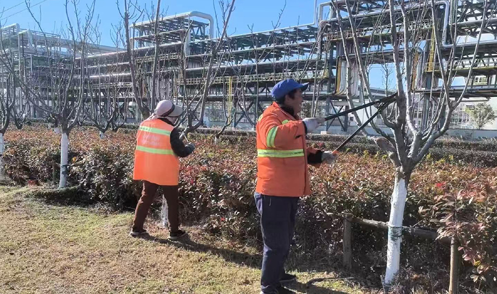 2efbf8cd3d90974c90b3055ae0c566e8